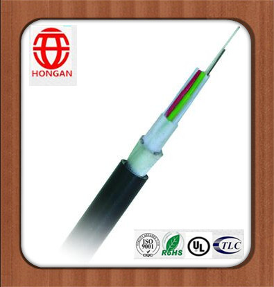 GYFTY 8 Core 3000n Optical Fiber Cable with High Quality