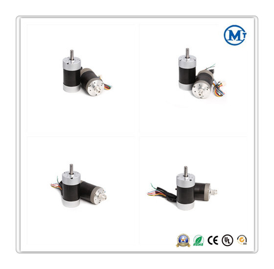 24V 36V 48V 60V BLDC Brushless DC Micro Motor