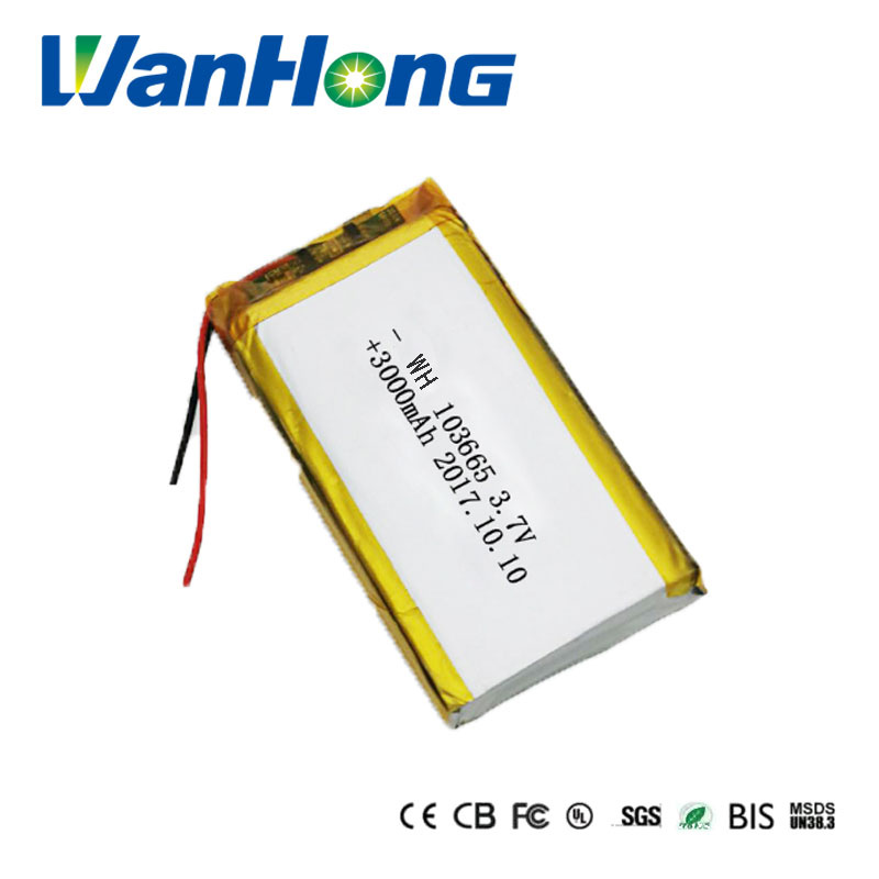 103665pl 3000mAh Lithium Ion Battery for Digital Products