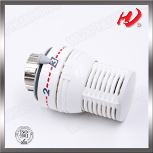 Raidiator Thermosat Head