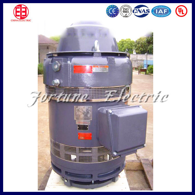 Vhs254tp-4-015s Small Three Phase Induction Motor