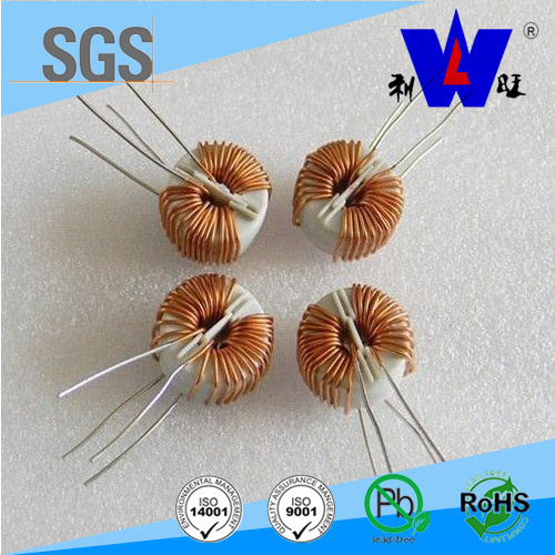 Lgh Toroidal Choke Coil Inductor for VCR