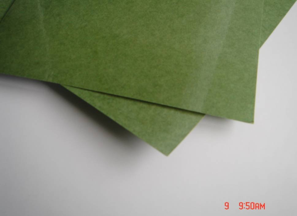 Fish Paper with Film