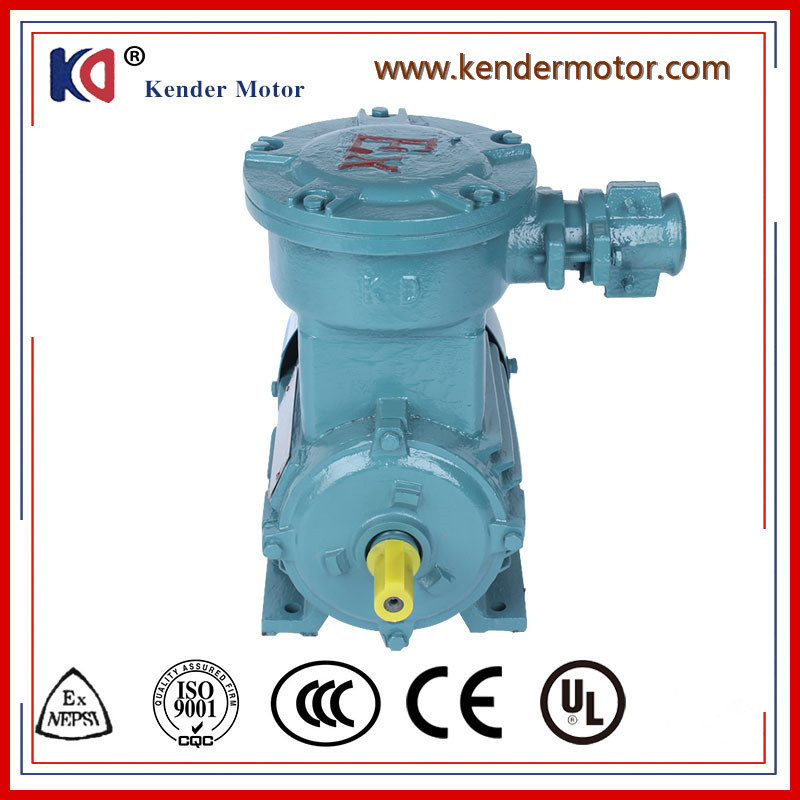 Explosion Proof Asynchronous Induction Motor for Crane