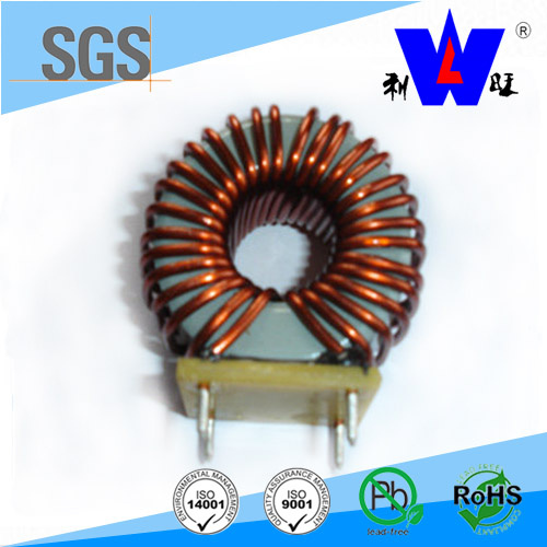 Toroidal Choke Coil and Ferrite Coil Inductor with ISO9001
