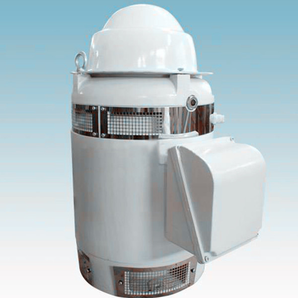 Vhs Vertical Hollow Shaft Deep Well Motor