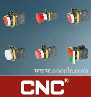 Pushbutton Switch LAY4
