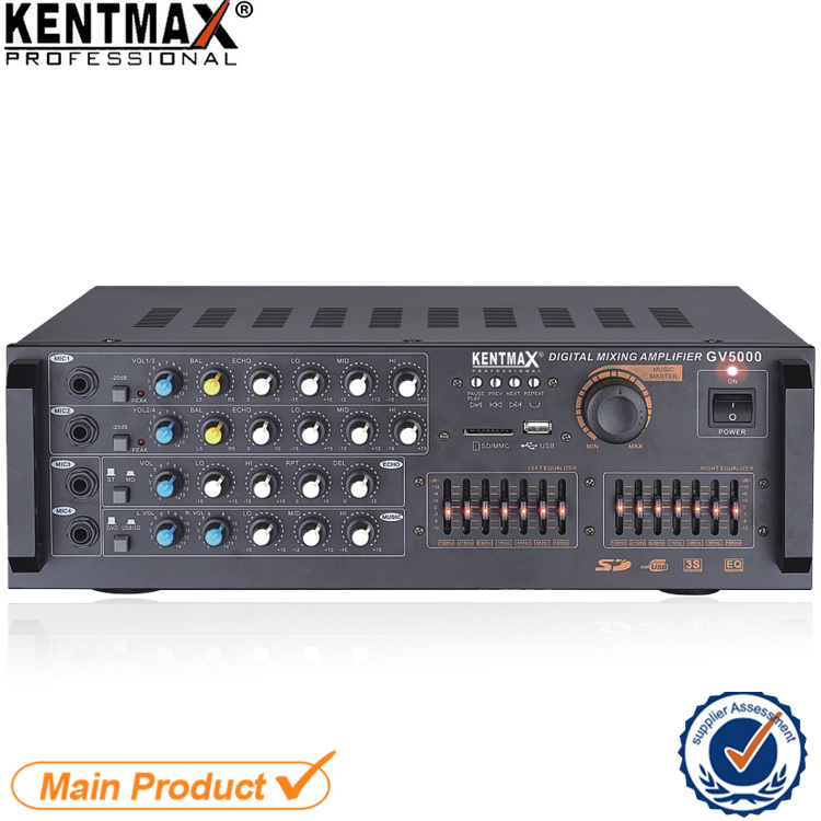 2.0 Channels Gv-5000 Echo 50 Watt Digital Power Amplifier