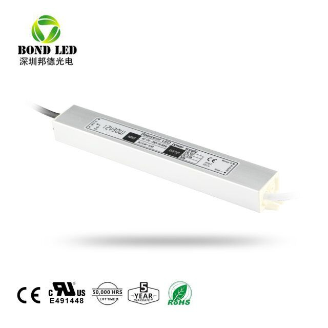 DC 12/24V Output Ce RoHS Approved 30W Waterproof LED Power Supply