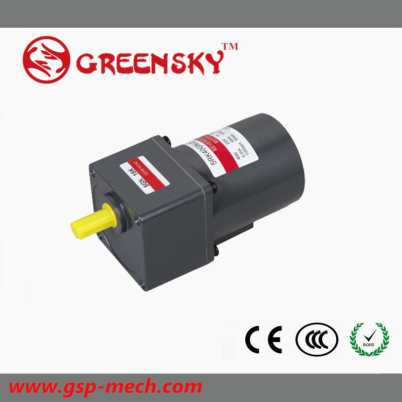40W AC Reversible Geared Micro Motor