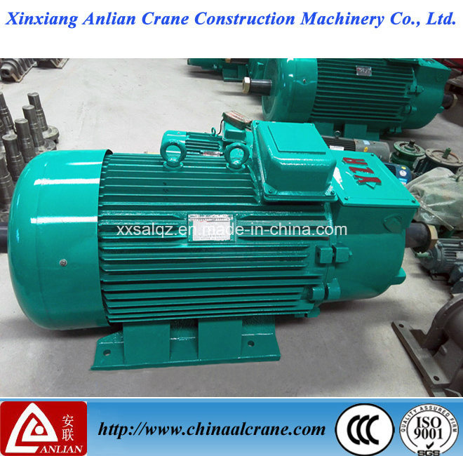 1000rpm Electric AC Three Phase Crane Motor