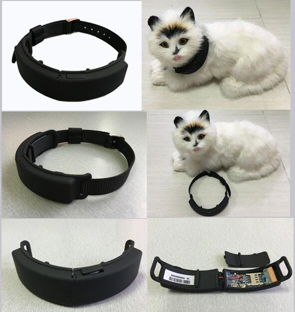 Pet GPS Tracker with 24 Hours Real Time Positioning (D62)
