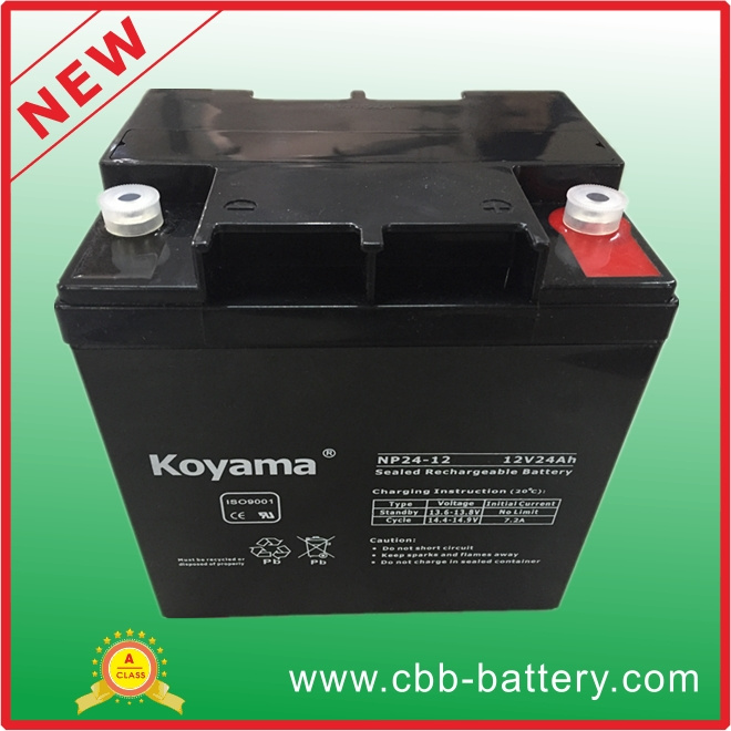 12V 24ah Lead Acid AGM Battery for UPS/Surge Protector