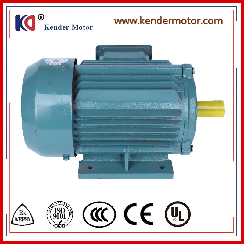 Three Phase Electric Induction AC Electric (Electrical) Motor