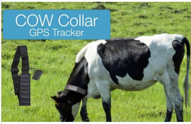 Pet Positioning and Tracking System, Waterproof Tracker T5010