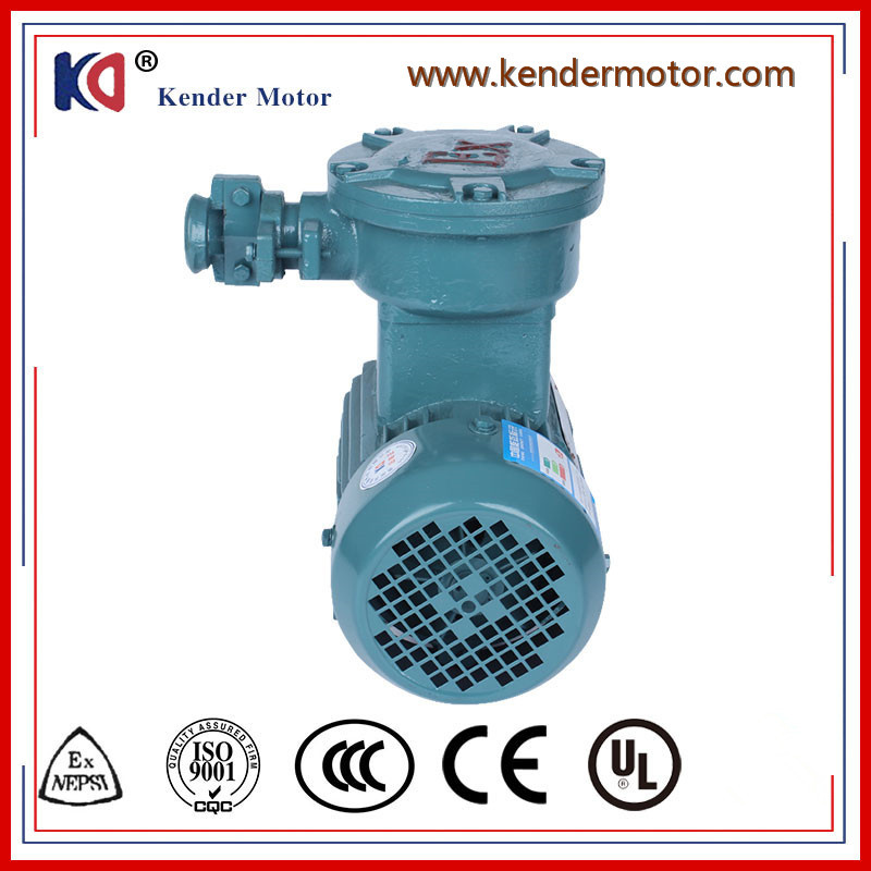 Aluminum Explosion-Proof Asynchronous Motor with High Speed