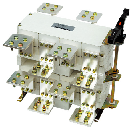 Dglz1-100~4000 Series Load Isolation Switch (DGLZ1-3150)