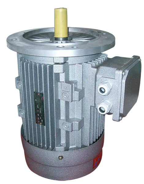 Ie2 Ms Alu Housing Three-Phase Induction Motor (MS-112M-4)