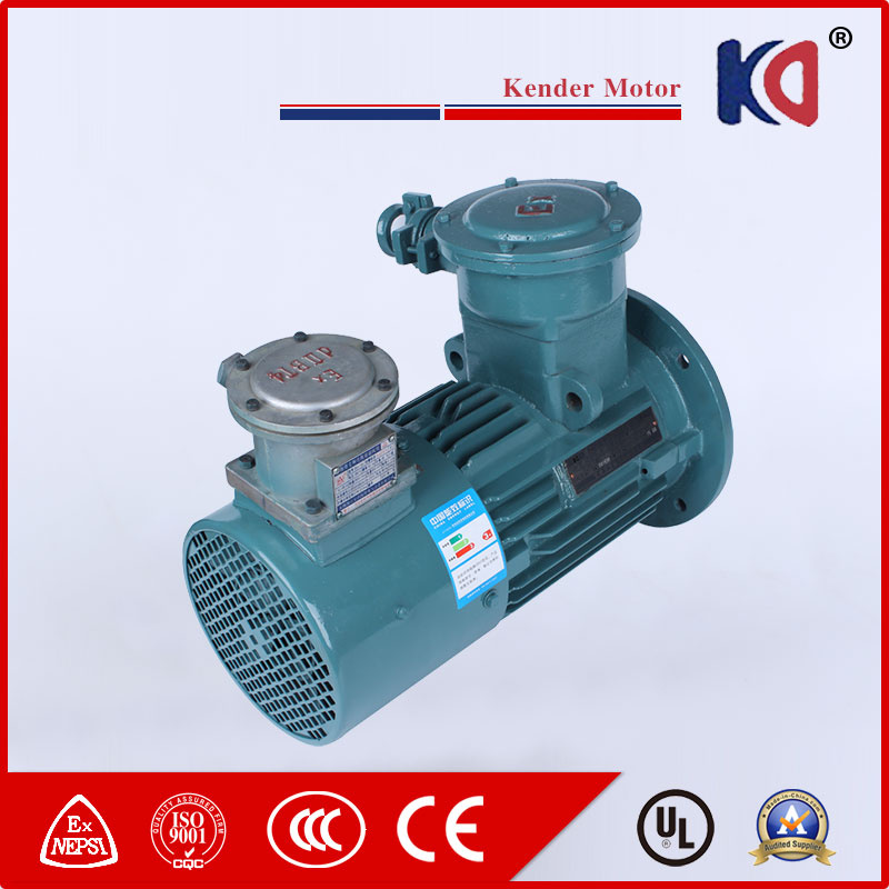 Yvbp Series Induction Electric Motor with Frequency Conversion Speed Regulating