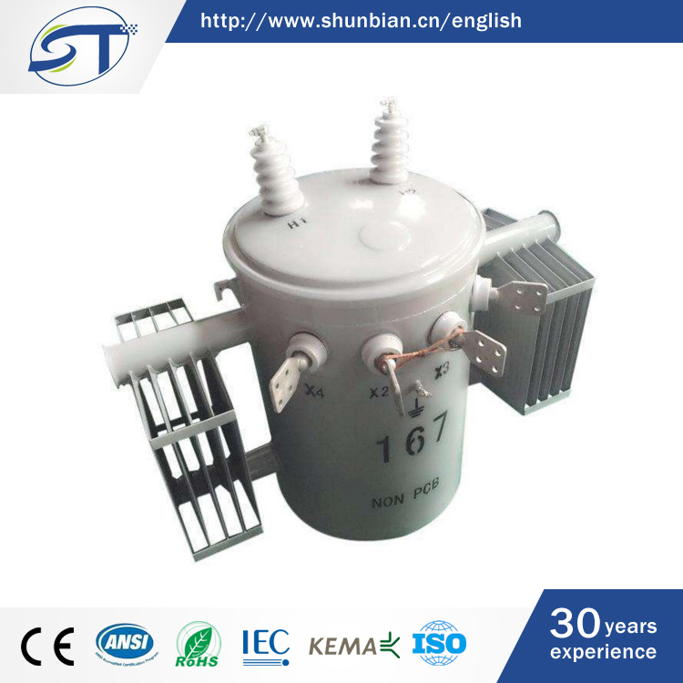 11kv Single Phase Step Down Oil-Immersed Distribution Transformer