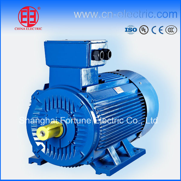 High Efficiency Squirrel Cage Induction Motor