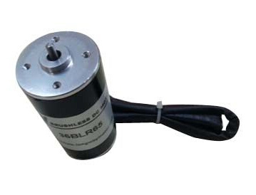 36blr BLDC Motor