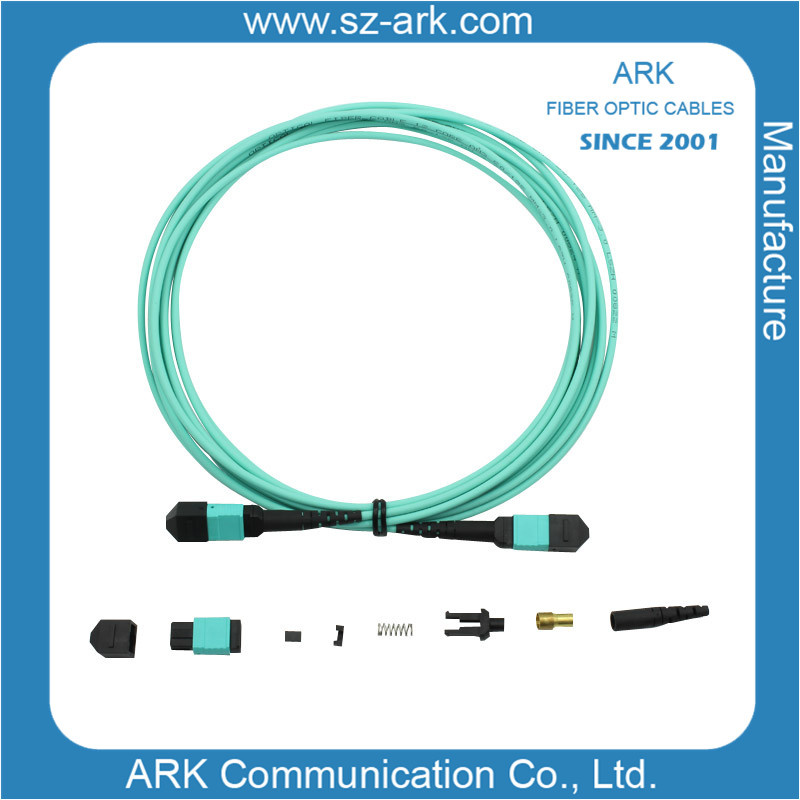Fiber Optical Connector with MPO Om3 Aqua