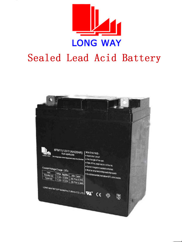 Standard Series 12V Lead Acid Battery for UPS System