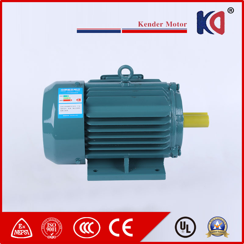 The Ideal Energy-Efficient Asynchronous AC Electric (Electrical) Motor