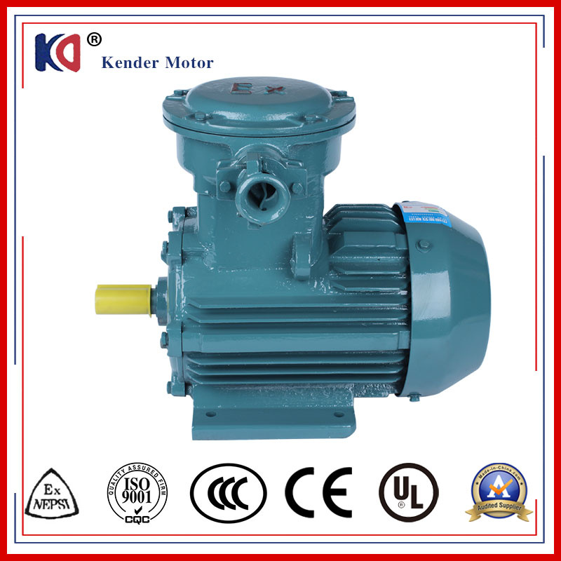 Customized Explosion Proof AC Motor with 380V 50Hz Frequency