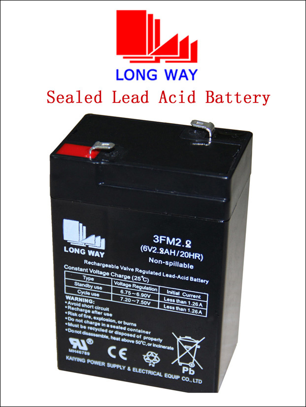 6volt Storage Vgm Small Sized Battery for Children Toy
