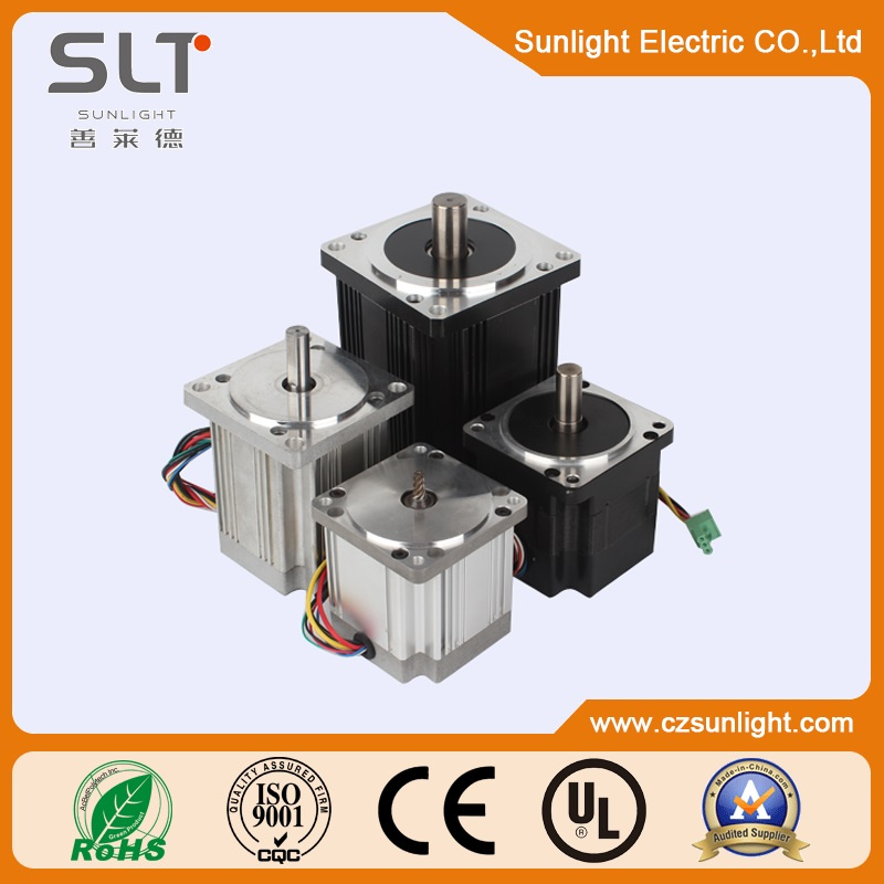 Brushless DC Motor with a High Rated Speed