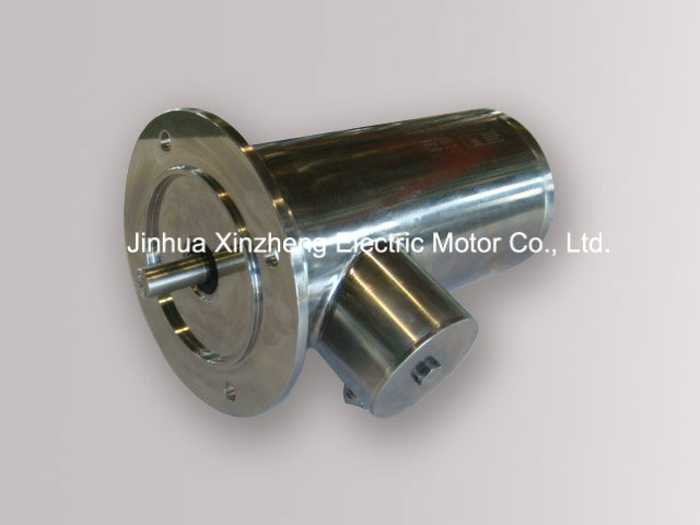 China Manufacture Customize Design 220V AC Electric Motor