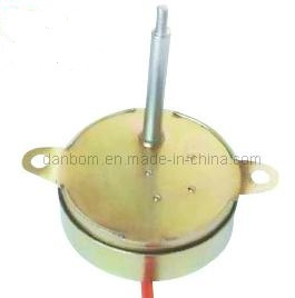 Christmas Lighting Motor (TYZ)
