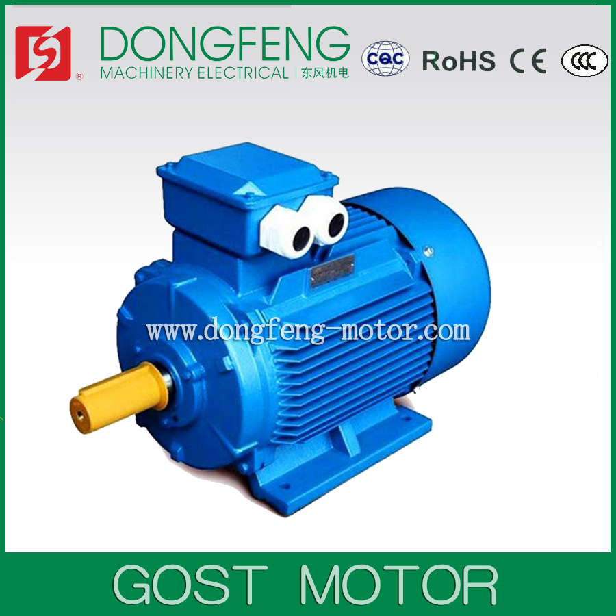 ANP Series 100% Output Three Phase AC Motor