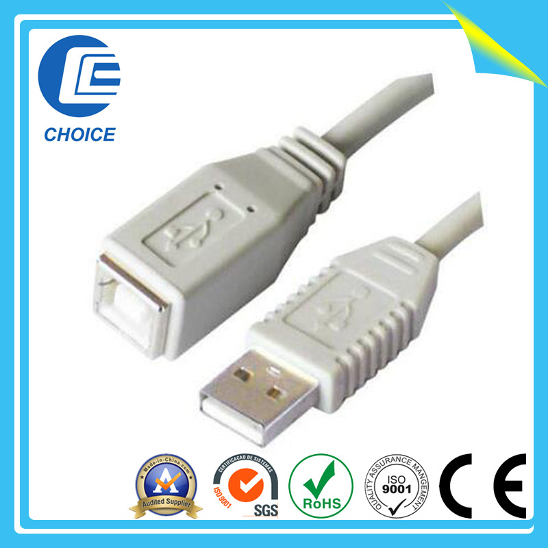 USB Cable (CH40110)
