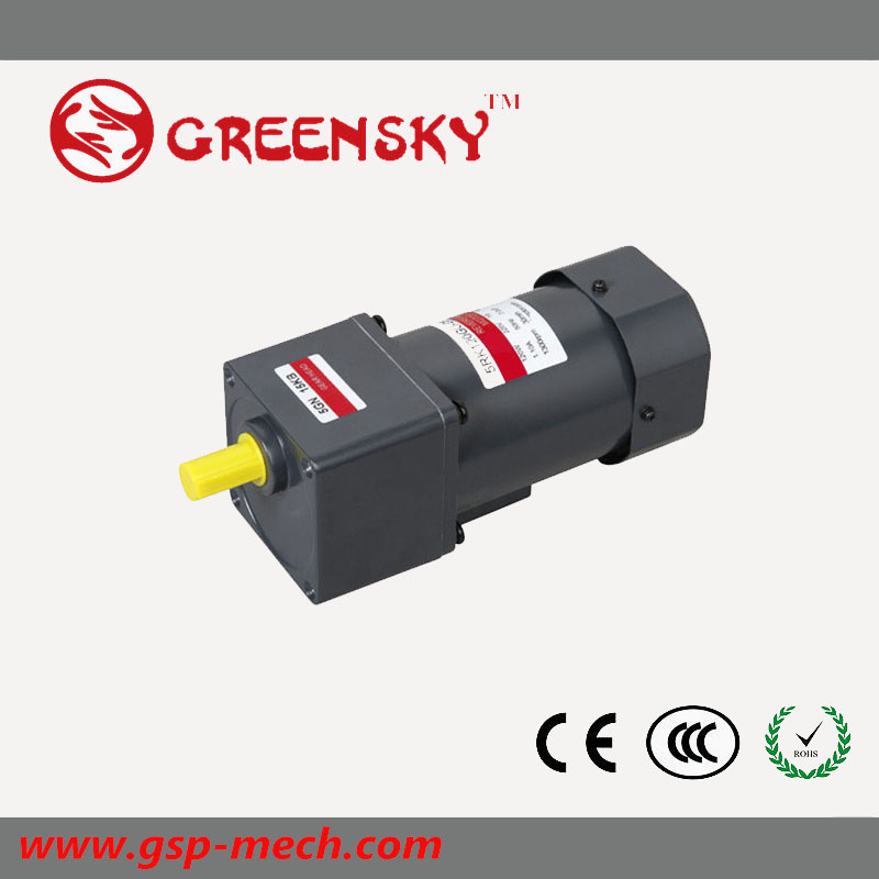 GS High Efficient 120W 90mm AC Induction Motor for Sales