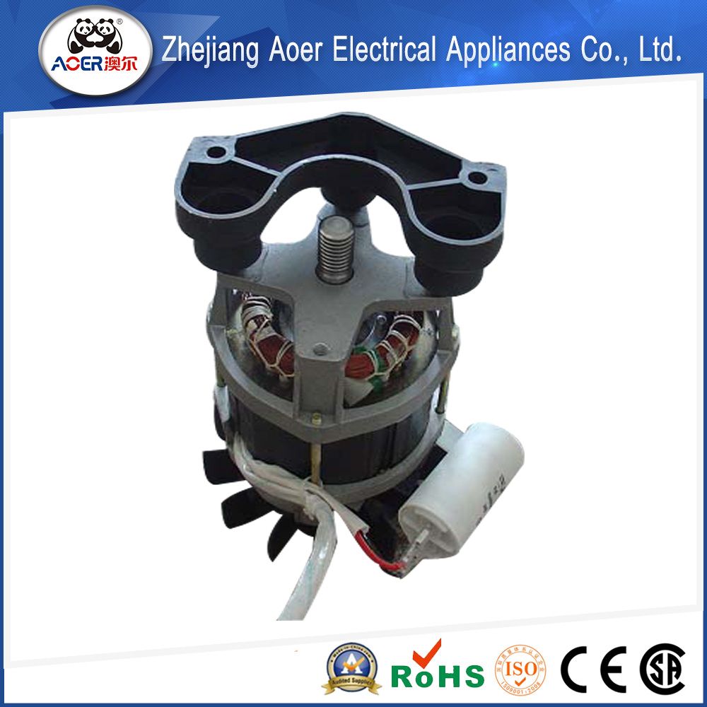 AC Single Phase 220V 1HP Capacitor Start Motor