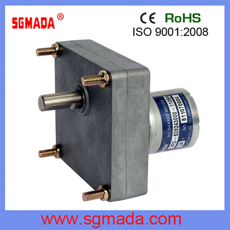 12V/24V DC Gear Micro Motor for Industry
