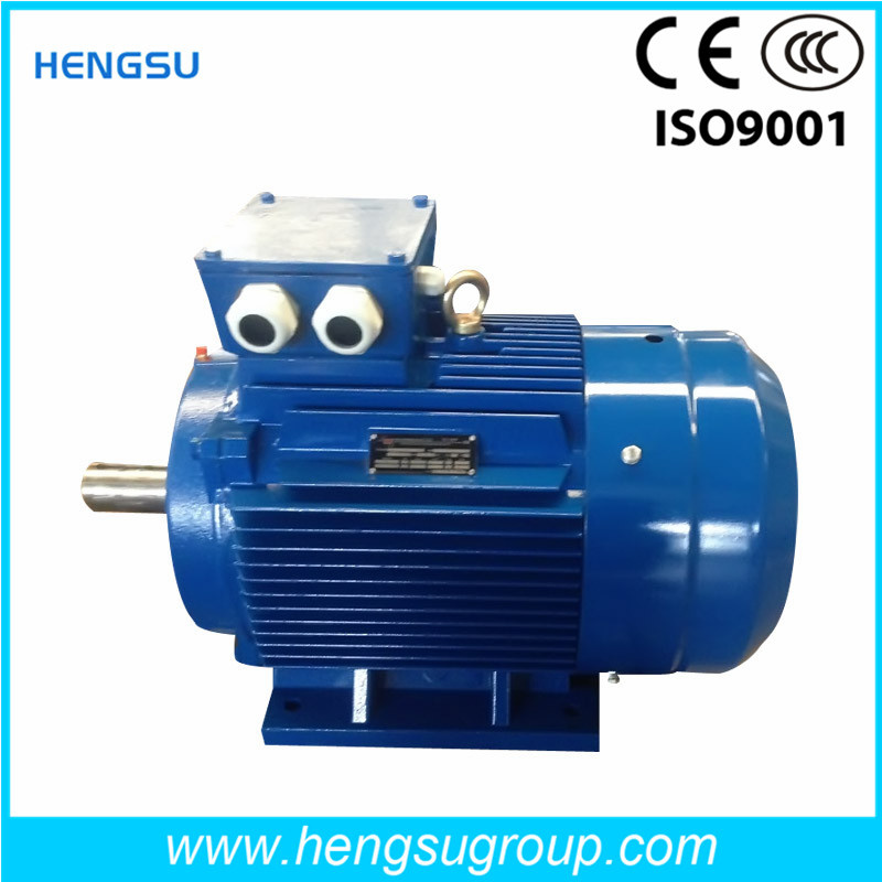 Ye3 0.18kw Three-Phase Cast Iron Induction Electric Motor