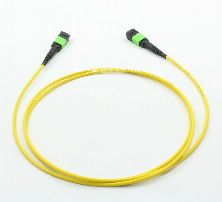 MTP/MPO Singlemode 12cores Fiber Optic Patch-Cord