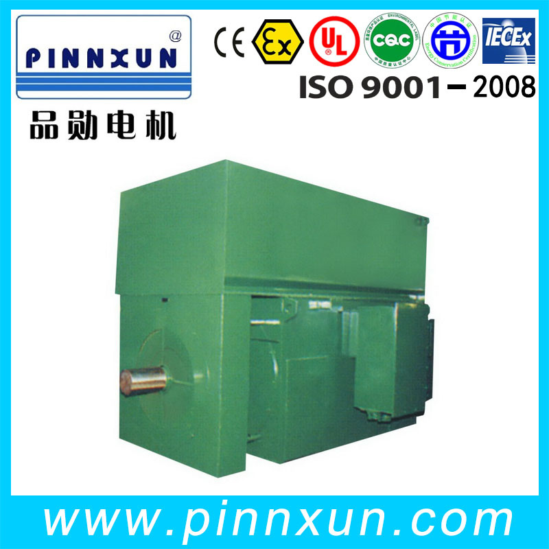 3.3kv 3 Phase Squirrel Cage Induction Motor