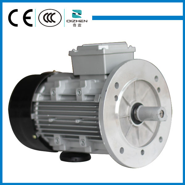 MS Series Three Phase Induction Motor with B5 Flange