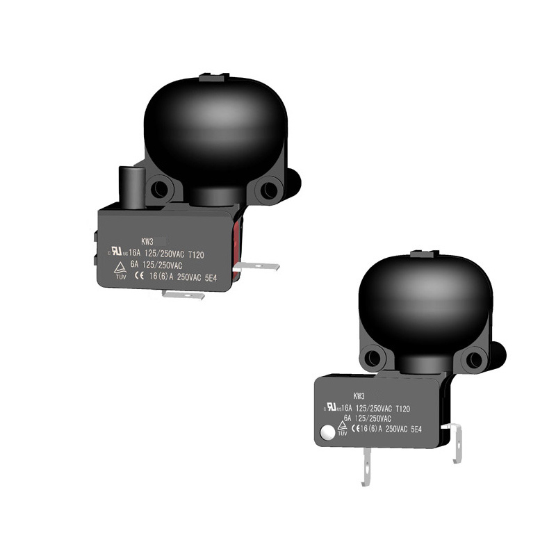 Tip Over Micro Switch of Electric 16A