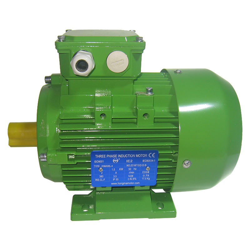 Ie2 Ye2 High Efficiency Three Phase AC Motor Cast Iron Frame Electrical Motor Engine