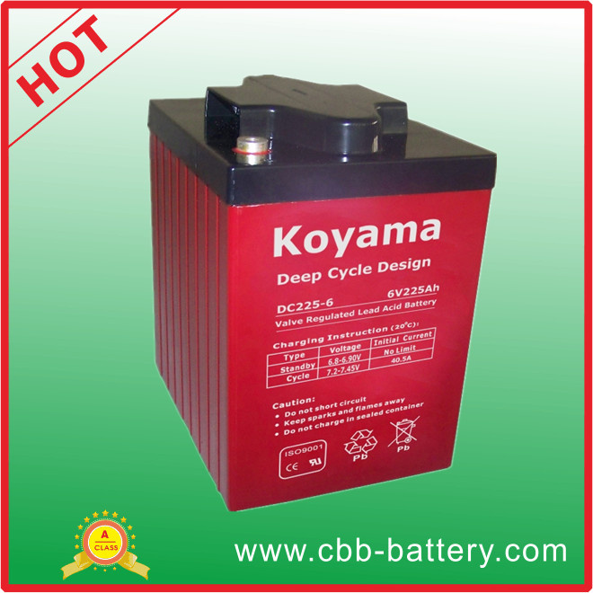 Deep Cycle Marine Battery 6V 225ah