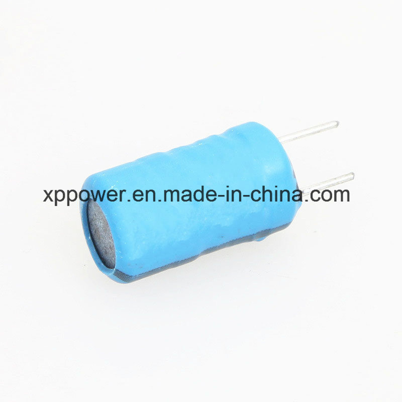 Custom Drum Inductor