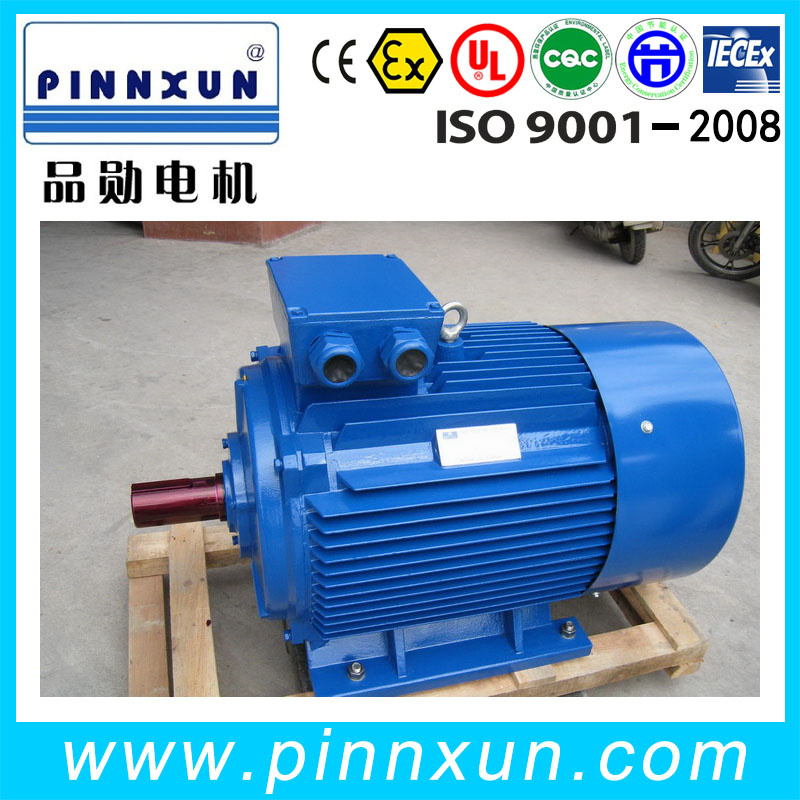 100% Copper Wire Three Phase Induction Motor 22kw