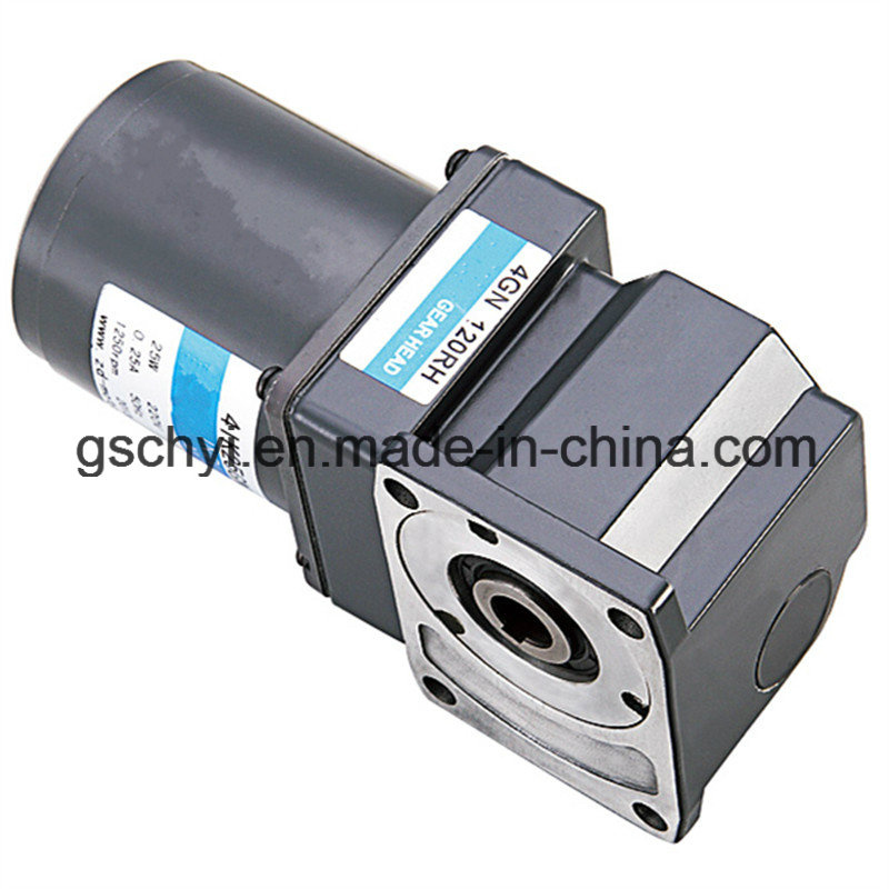 GS High Quality 80mm Worm Gear Angle Motor