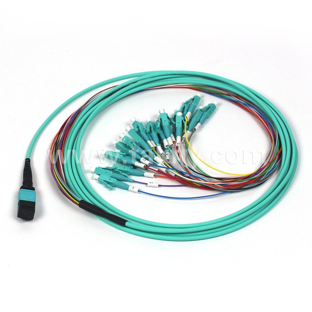 8 Cores/12 Cores/24cores Om3 Om4 Fiber Optical MPO/MTP Patch Cord